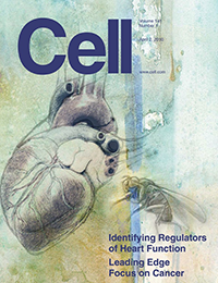 Cell - A global in vivo Drosophila RNAi screen identifies NOT3 as a conserved regulator of heart function.
