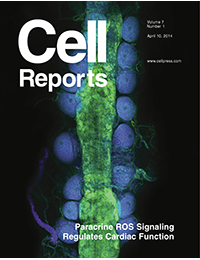 Cell Reports - ROS regulate cardiac function in Drosophila via a novel paracrine mechanism.